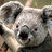Koala_small